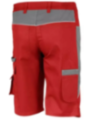 Meeste lühikesed püksid PRO