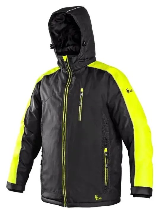 Jakk CXS BRIGHTON, talv, meestele