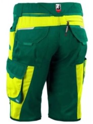 Lühikesed püksid Grizzlyskin