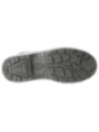 Kingad